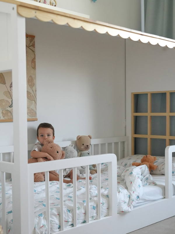 Nicole Scandi House Bed with Canopy Frame
