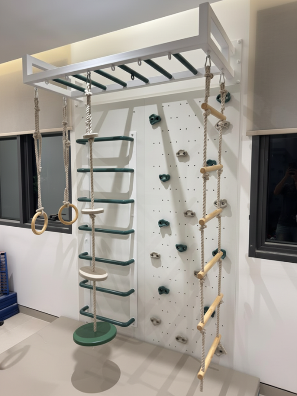 Indoor Kids Gym Wall