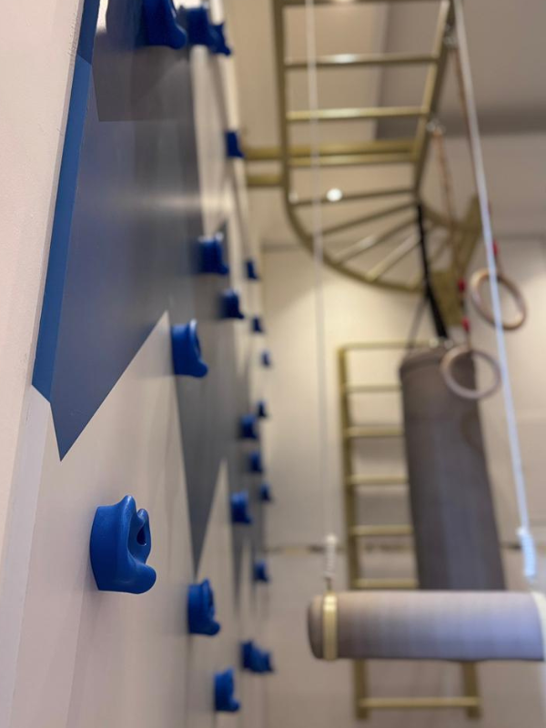 Indoor Kids Gym With Monkey Bars, Boxing Bag & Climbing Wall