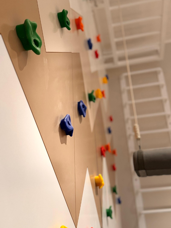 Indoor Gym Wall