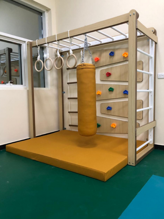 Kids’ Indoor Play Gym